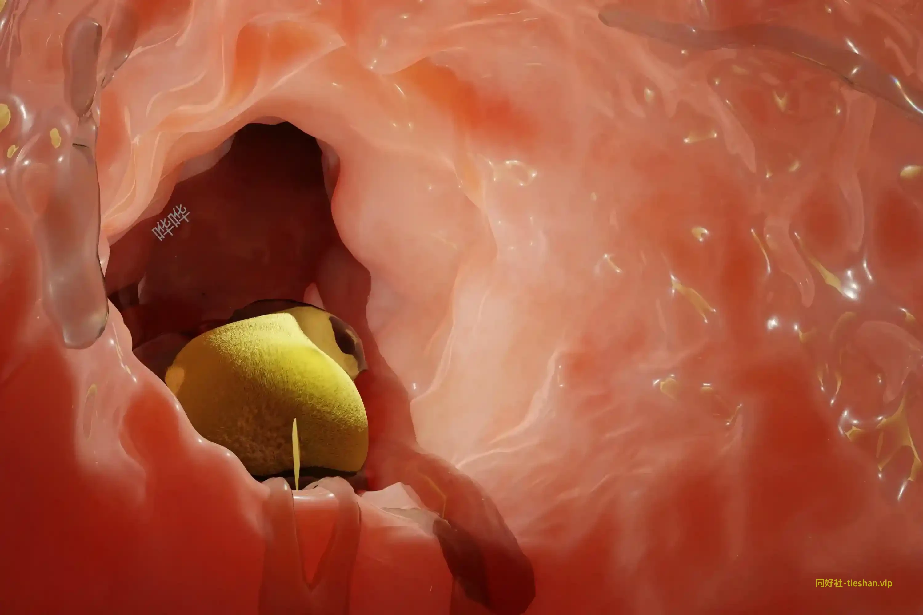 女王的点心 -400P - GTS同好社-铁-漫画论坛-神话西游-GTS同好社